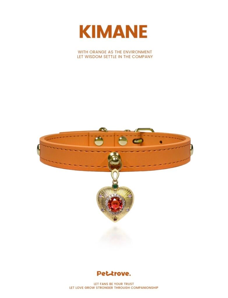 Hermès Orange Dog /Cat Collar style 1