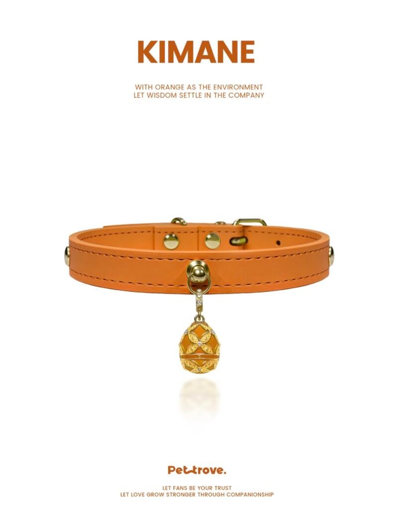 Hermès Orange Dog /Cat Collar style 2