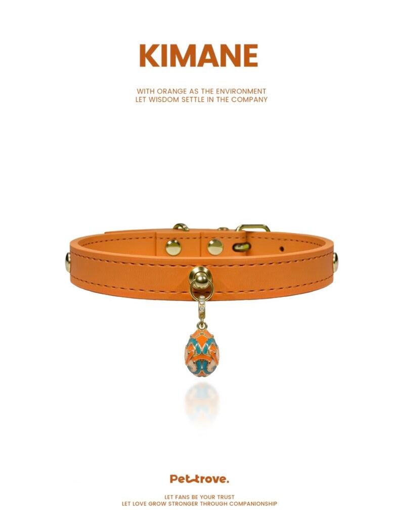 Hermès Orange Dog /Cat Collar style 3