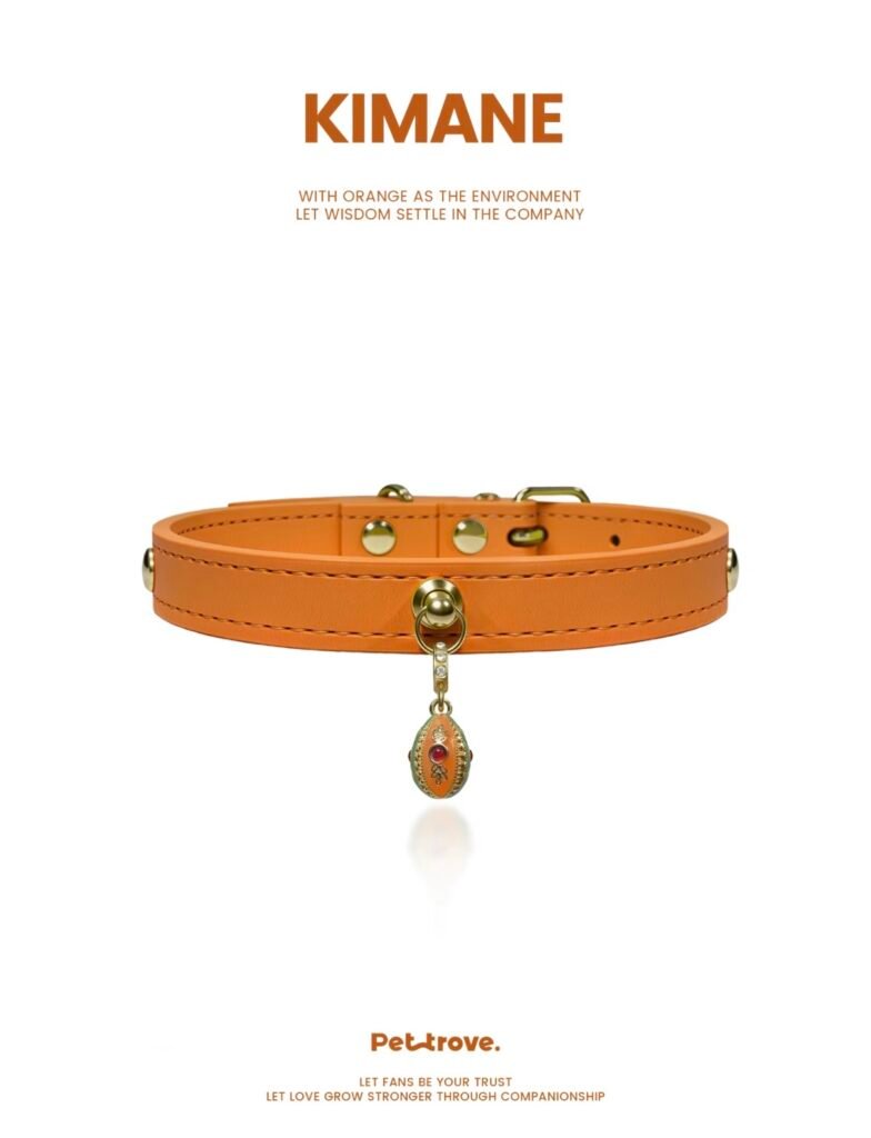 Hermès Orange Dog /Cat Collar style 4