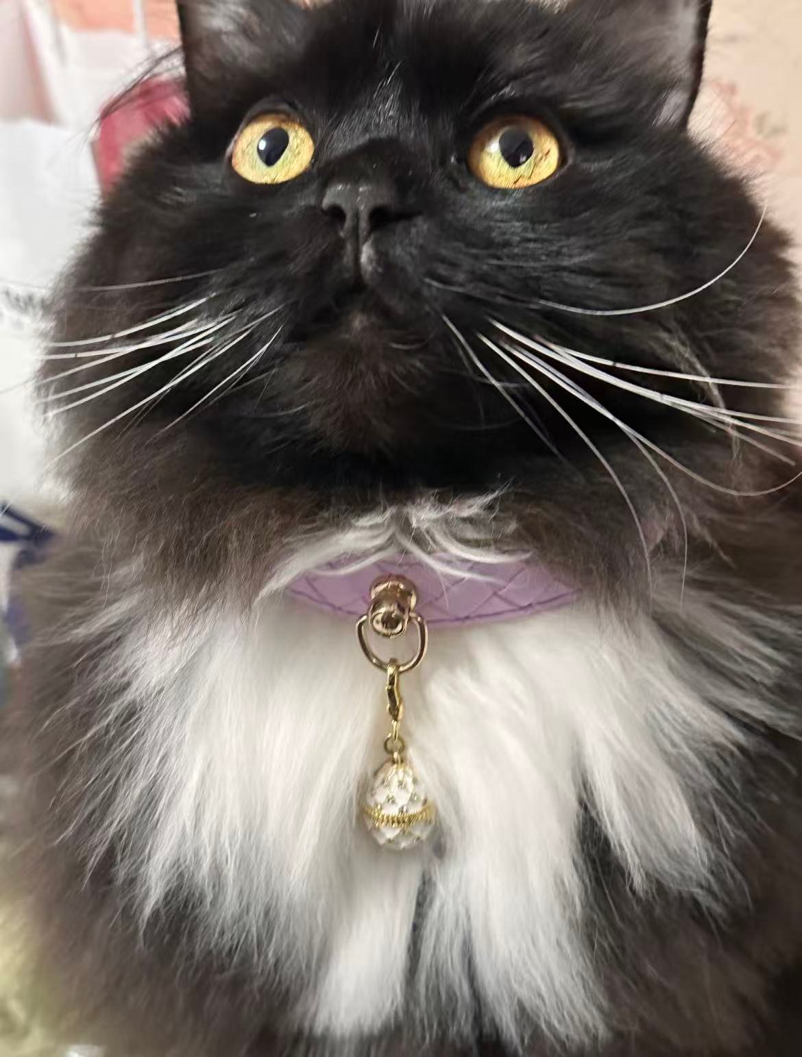Light purple crocheted cat/dog collar.