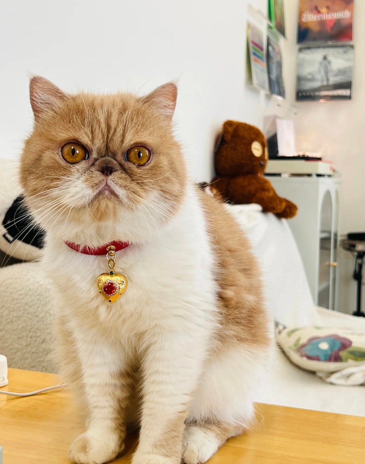 Red Gilded Cat & Dog Collar