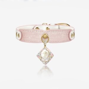 Ivory Diamond Shell Jewel Cat & Dog Collar