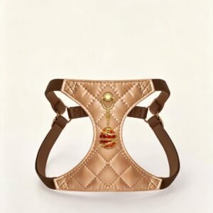 Champagne Gold Jewel Dog & Cat Harness